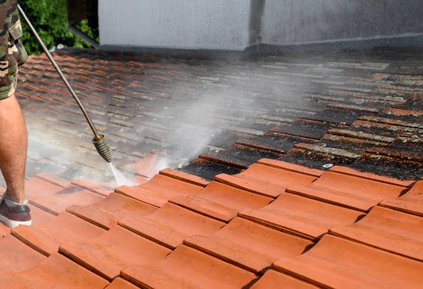 Best Deck Cleaning Services  in Tomah, WI