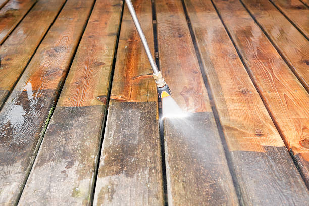 Best Roof Pressure Washing  in Tomah, WI